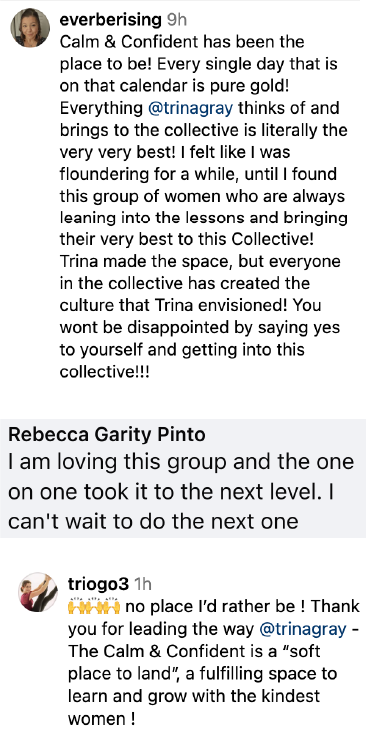 Trina Gray, Collective Asset 24